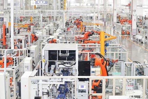 谭旭光 重锤凿破供应链壁垒，开拓工业旅游新蓝海