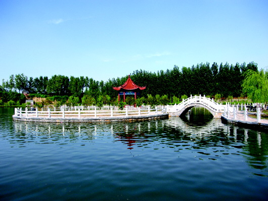 旅游项目叫响“淄博创造”，淄博构筑旅游产业发展新地标