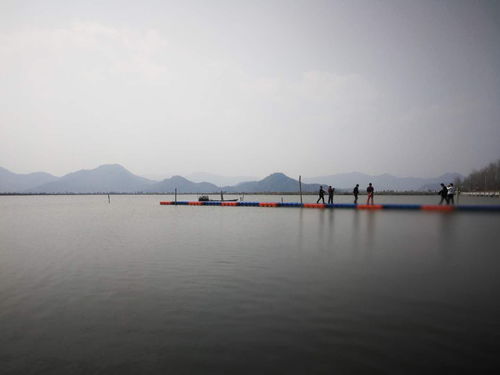 焦点热景推荐丨美丽花桥 乡村特色旅游的生态新布局探索