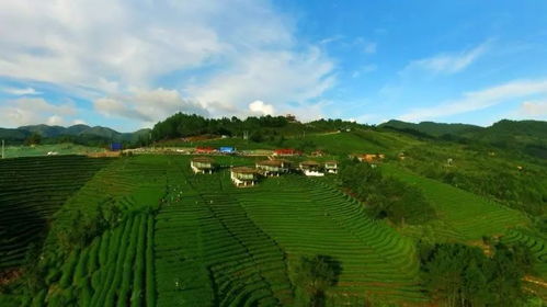太美了！独山凡间生态旅游项目强势登陆北京文交会